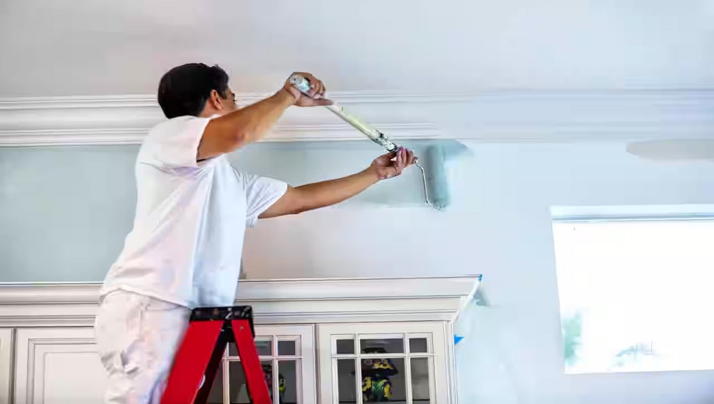 Vibrant Colours, Expert Touch: Best Painting Solutions in Rajasthan